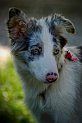 IMGP5177_2__1_