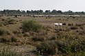 IMGP8166