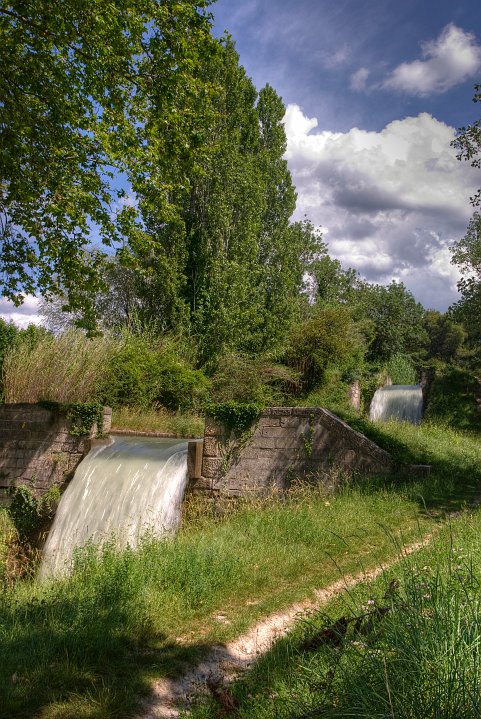 IMGP4807_2__1_.jpg
