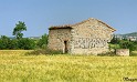 IMGP5684_800