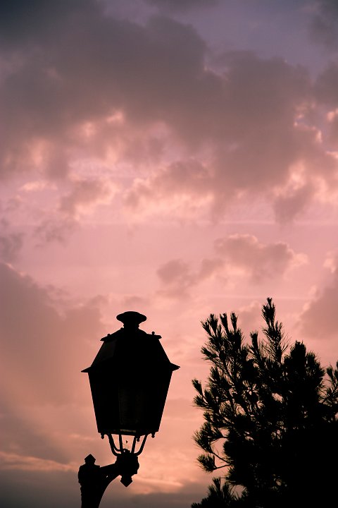 IMGP5708.jpg