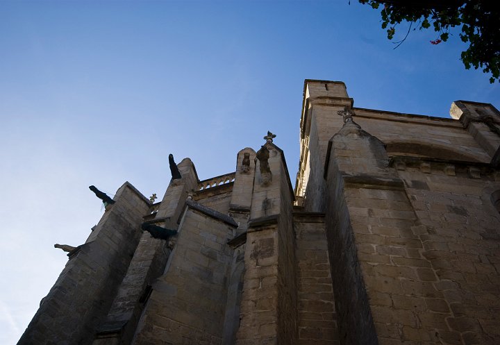IMGP6789.jpg
