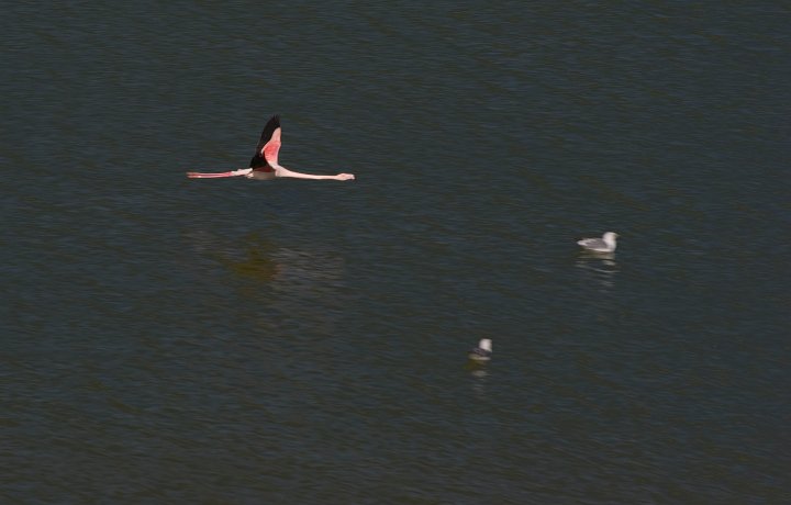 IMGP7159.jpg
