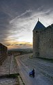 IMGP7016_2__1_