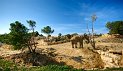 IMGP7141_2__1_