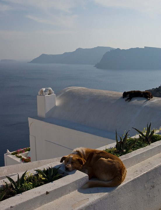 IMGP3081.jpg - Jour 4 : Santorin